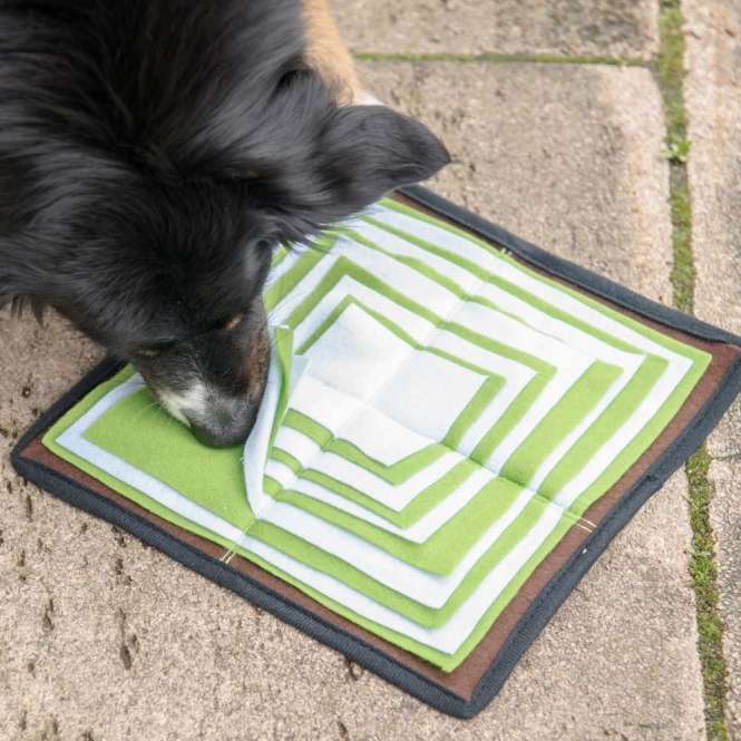 Procyon Schnüffelpyramide für Hunde – Produktansicht