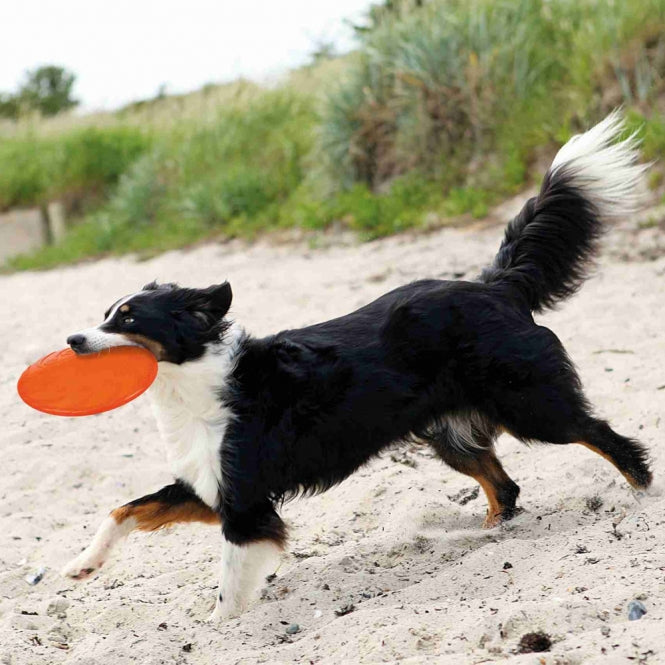 Trixie schwimmfähige TPR Dog Disc – 18 cm