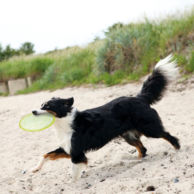 Trixie schwimmfähige TPR Dog Disc – 18 cm