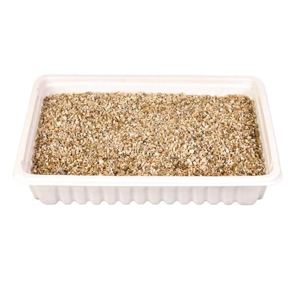 Trixie Katzengras mit Schale – ca. 100 g